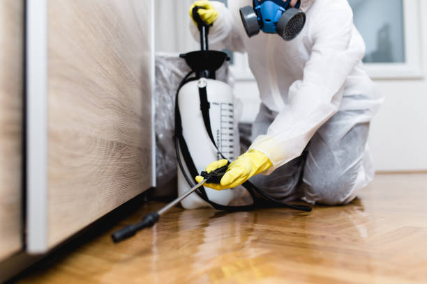 Reliable Etowah, NC Pest Control Solutions