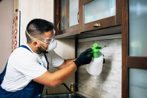 Best Best Pest Control Companies  in Etowah, NC