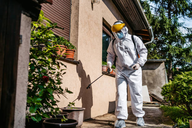 Best Residential Pest Control  in Etowah, NC