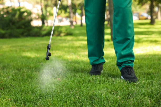 Best Local Pest Control Services  in Etowah, NC