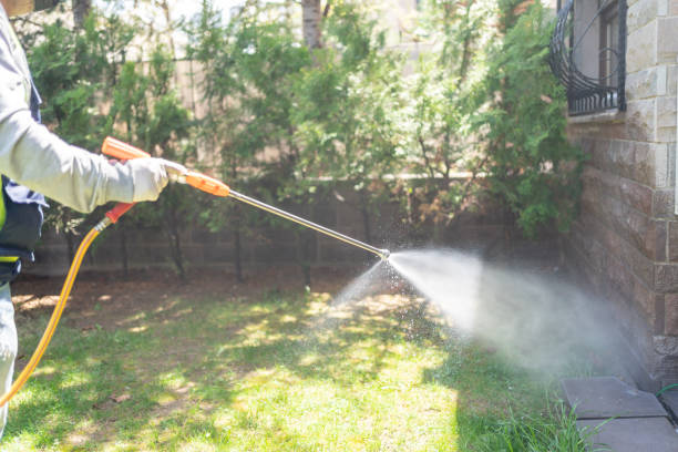 Best Pest Prevention Services  in Etowah, NC