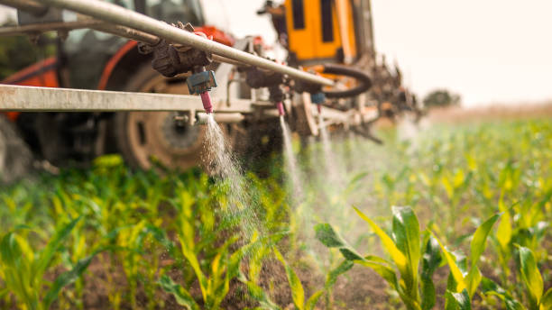 Best Commercial Pest Control Services  in Etowah, NC