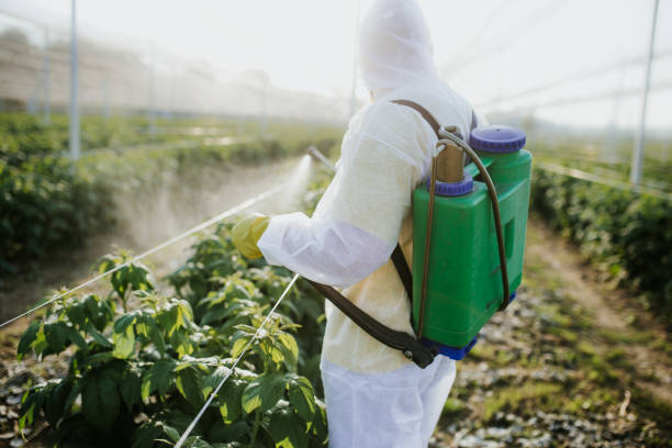 Best Pest Removal Services  in Etowah, NC